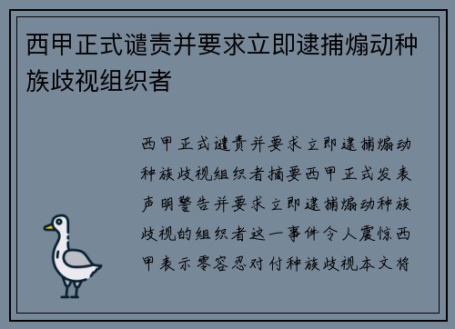 西甲正式谴责并要求立即逮捕煽动种族歧视组织者